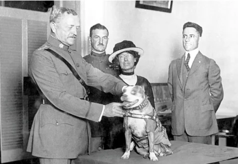 medalla de oro de la HSUS impuesta a Stubby por el general John J Pershing