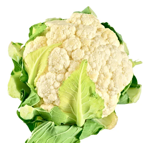 coliflor para receta comida casera para perros