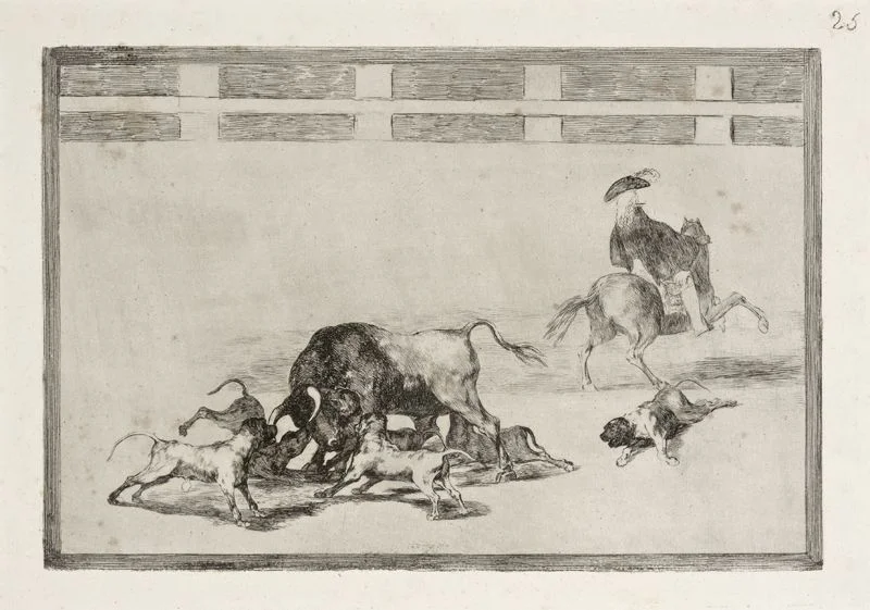 Francisco de Goya alano español