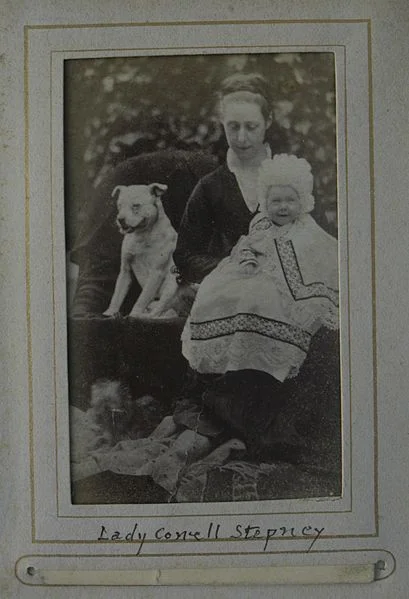imagen Stanford Bull Terrier 1847