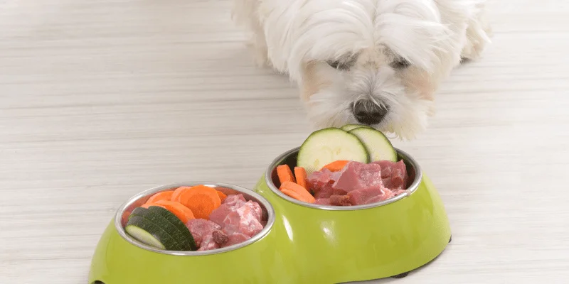 Alimentación natural para un perro diabético