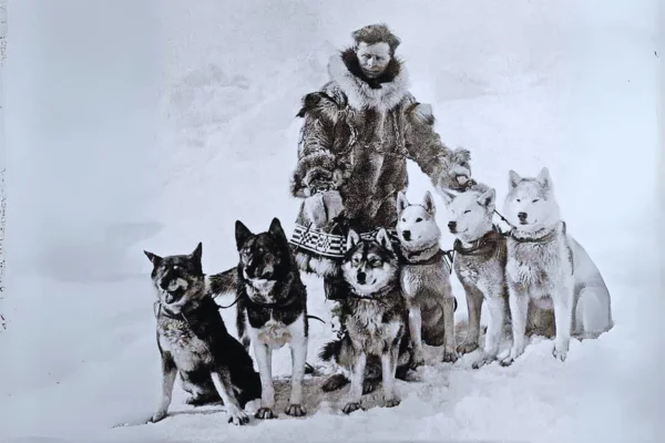 seppala y sus perros seppalas siberianos