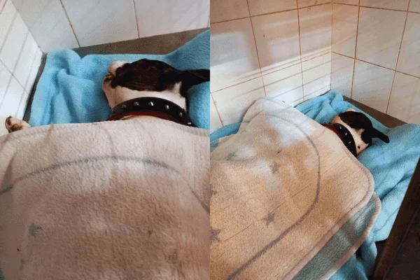 Noa durmiendo tras salir del quirófano