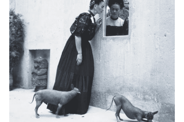 Xoloitzcuintle frida kahlo