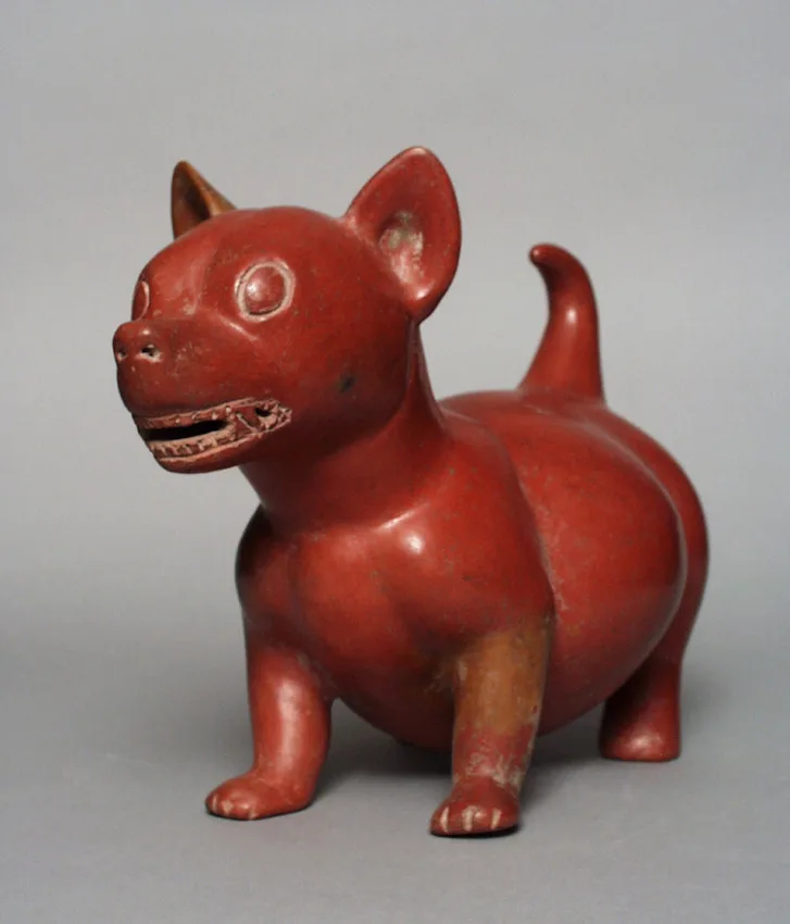 Xoloitzcuintle vasija de ceramica azteca
