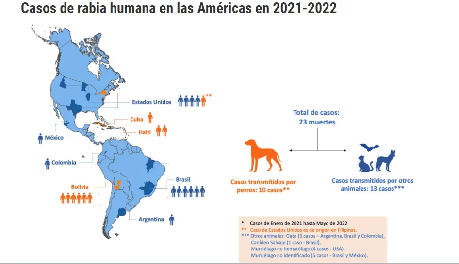 virus de la rabia en america