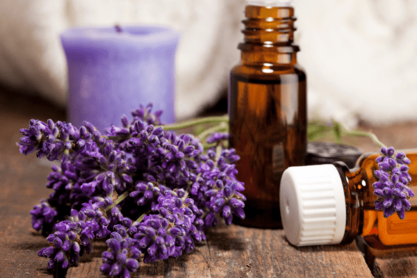aromaterapia para perros