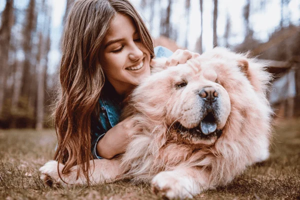 chow chow raza imagen