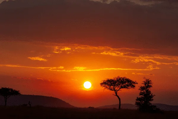 parque nacional serengueti