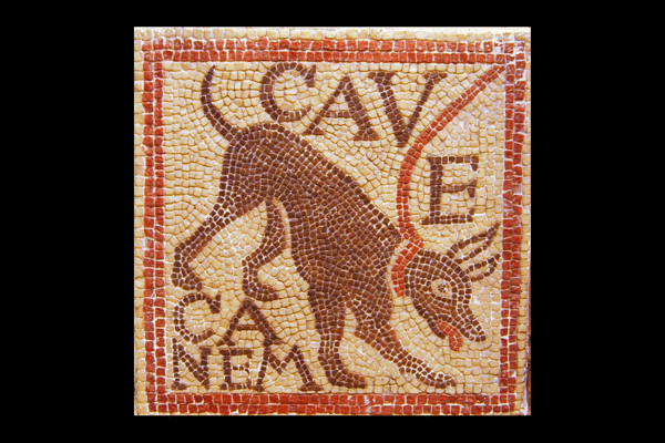 perro pompeya