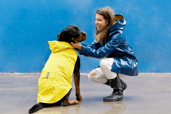 chubasquero para perros