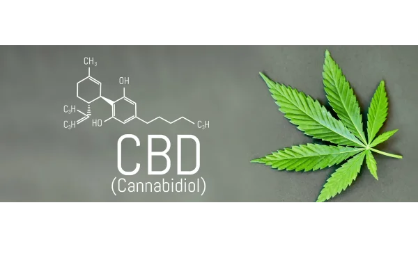 cbd perros