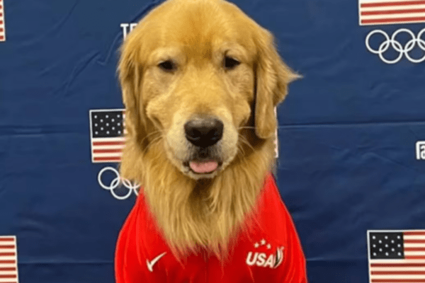 perro de asistencia emocional equipo olímpico usa