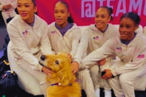 perro asistencia emocional equipo olímpico