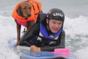 perro surfista de terrapia