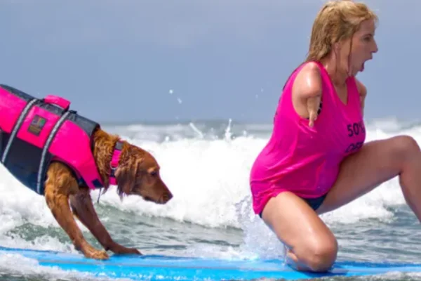 Ricochet perra surfista terapia