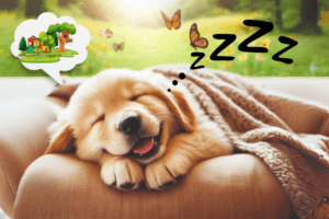 sueños de los perros